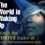 300x250Thrive