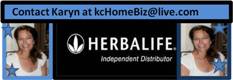 Karyn's Biz 300x80
